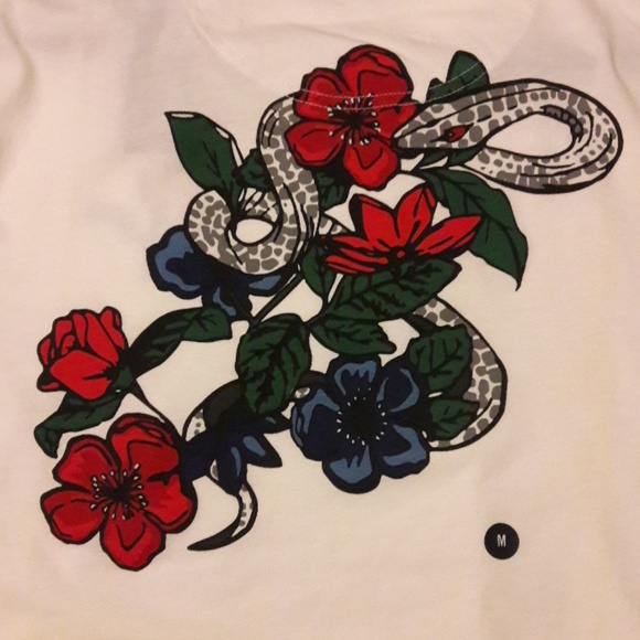 Hollister tee - Picture 3 of 7